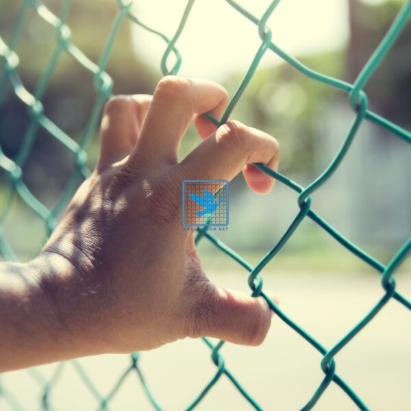 xr:d:DAGBbllRAII:20,j:3822854904125503685,t:24041307