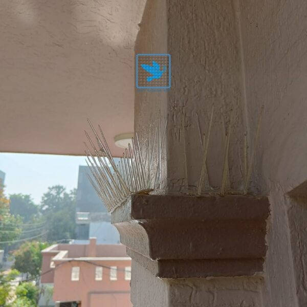 xr:d:DAGBbllRAII:20,j:3822854904125503685,t:24041307